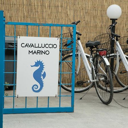 Ferienwohnung Cavalluccio Marino Favignana Exterior foto