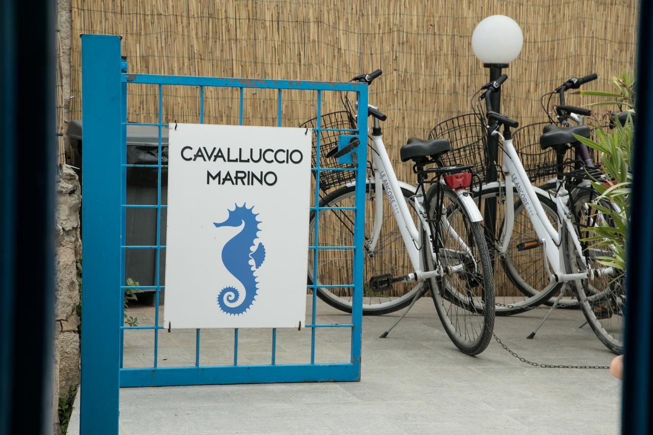 Ferienwohnung Cavalluccio Marino Favignana Exterior foto